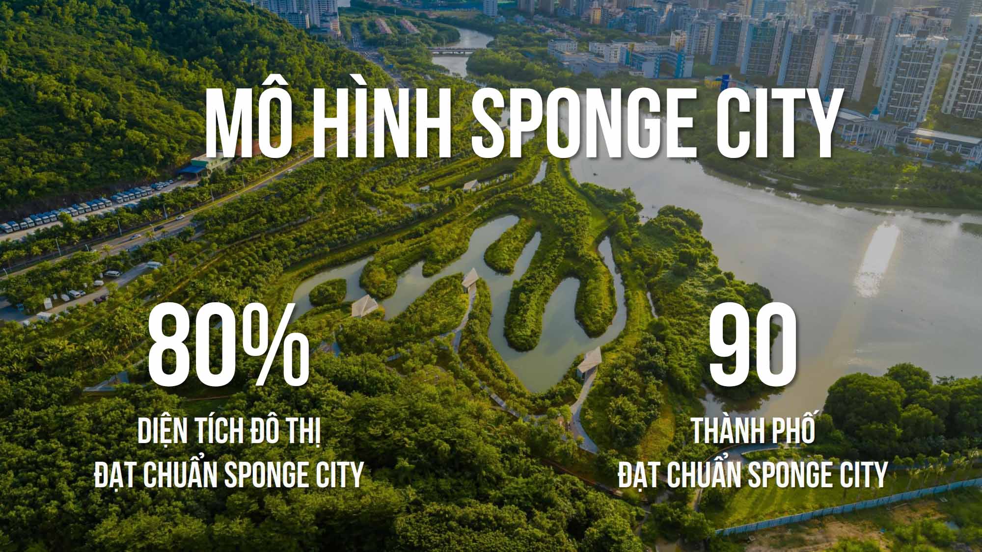 mo-hinh-sponge-city