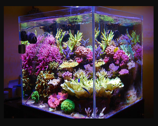 Sinh khi va chon huong nha 7