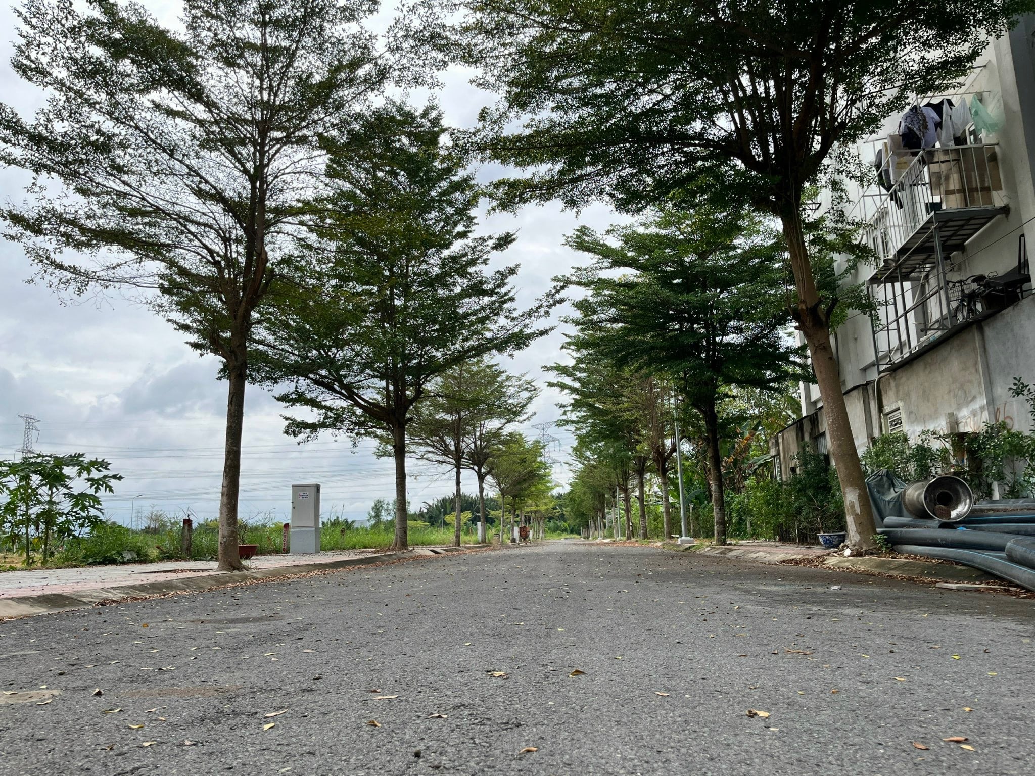 hinh anh thuc te tai saigon south village 3-min