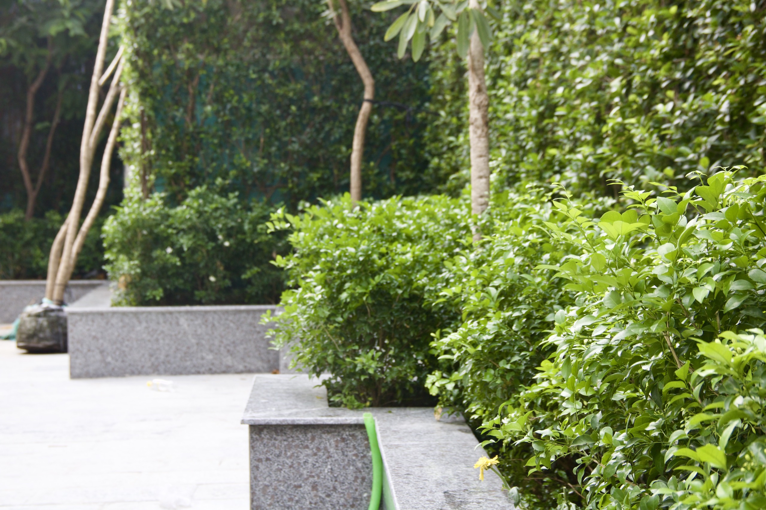 z3140202805435 7379e10036c81b3c3657e04b0c42c1af